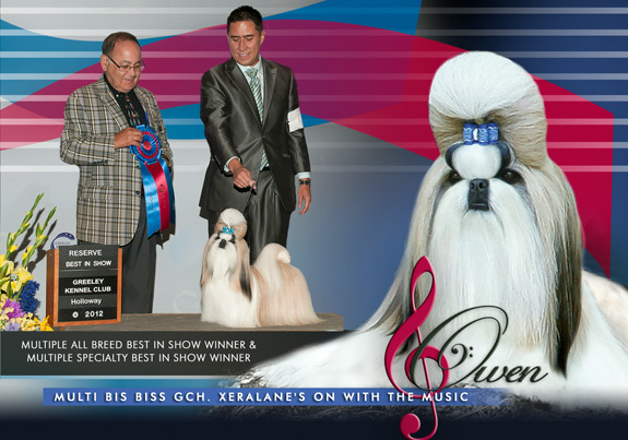 dogad11pix