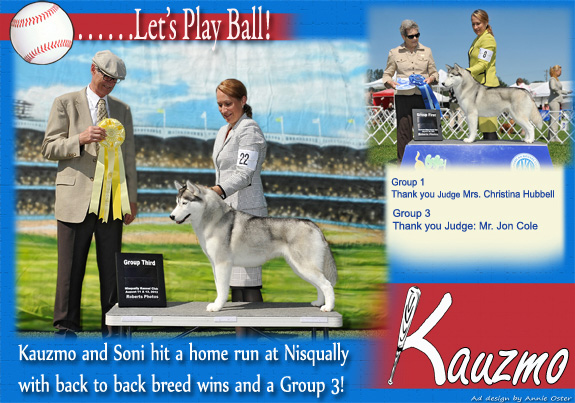 dogad16pix
