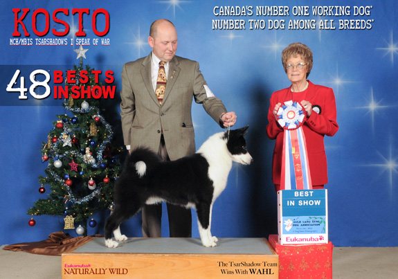 dogad02pix
