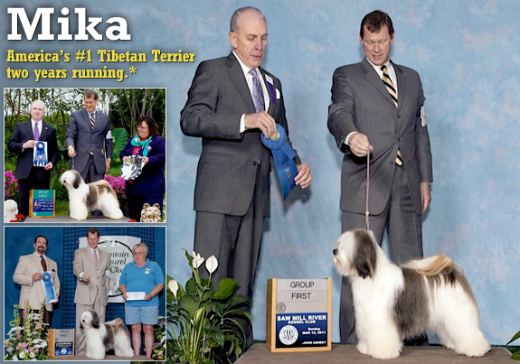dogad14pix