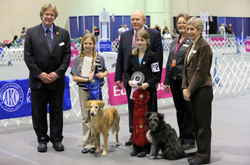 EOY2012pix Jrs01