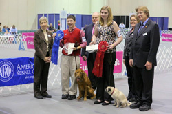 EOY2012pix Jrs02