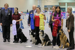 EOY2012pix Jrs03