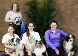 English Toy Spaniel Class At National Dog Show English Toy Spaniel Class At National Dog Show