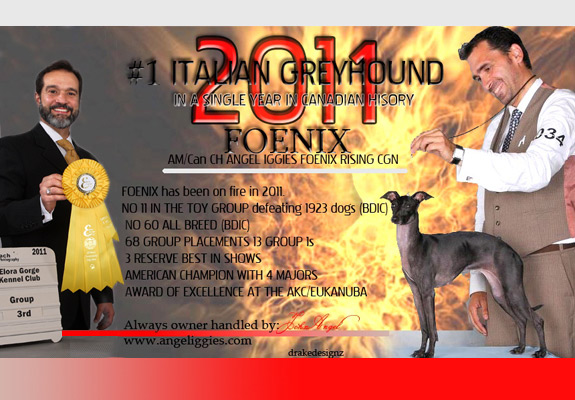 dogad04pix