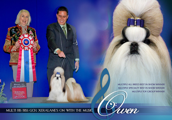 dogad09pix