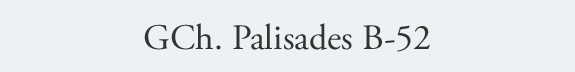 dogad11txt