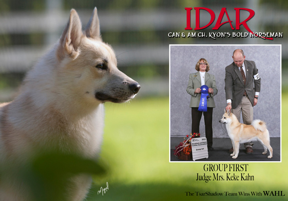 dogad06pix