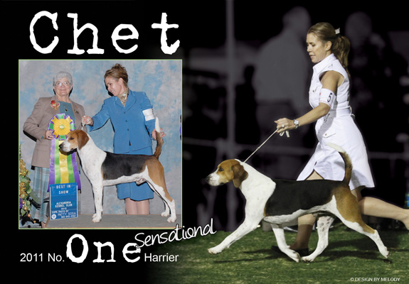 dogad09pix
