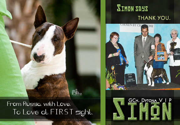 dogad01pix