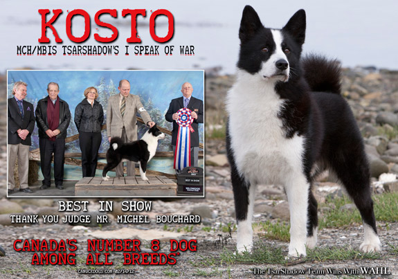 dogad02pix