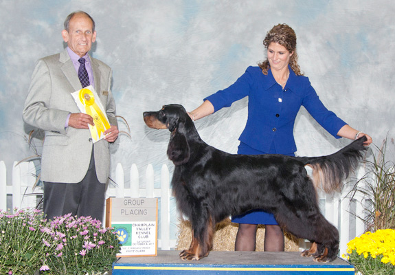 dogad04pix