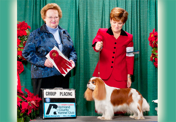 dogad06pix