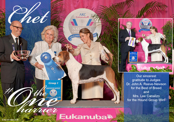 dogad08pix