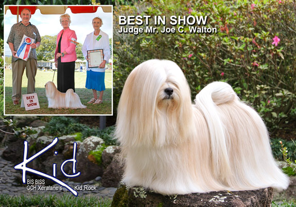 dogad04pix