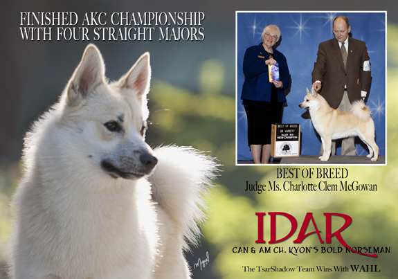 dogad06pix