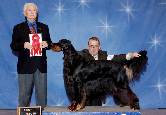 dogad06pix