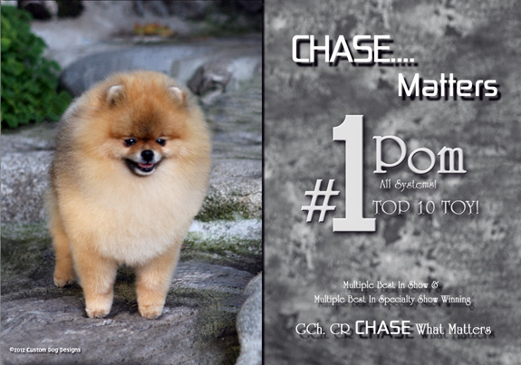 dogad01pix