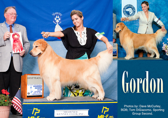 dogad09pix