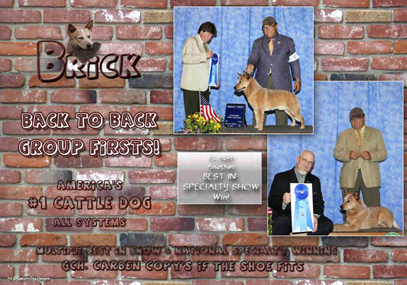 dogad03pix