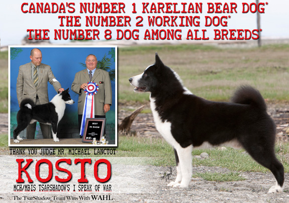 dogad03pix