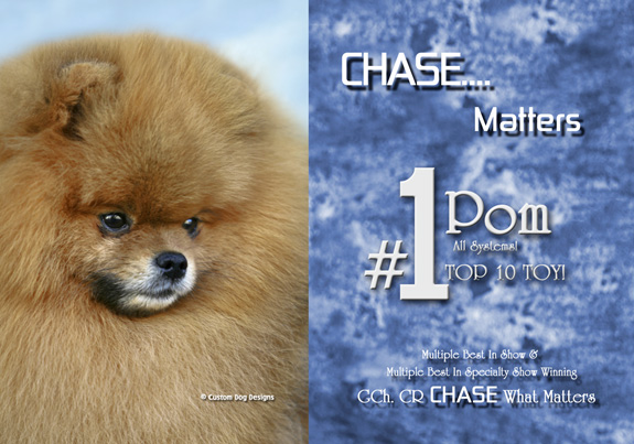 dogad05pix