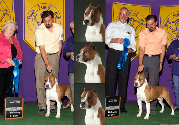 dogad06pix
