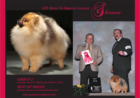 dogad07pix
