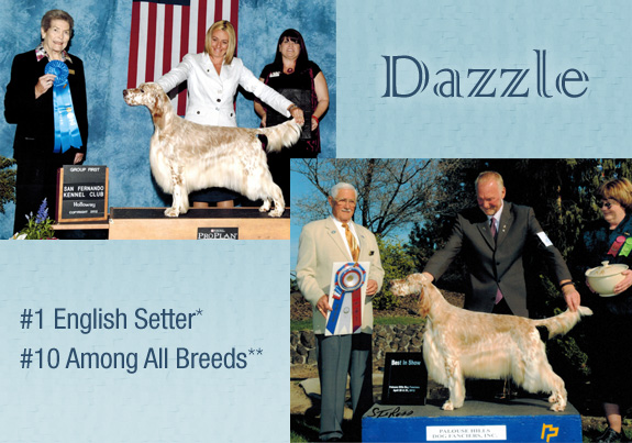 dogad12pix