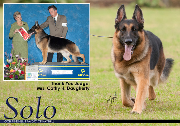 dogad05pix