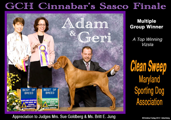 dogad06pix
