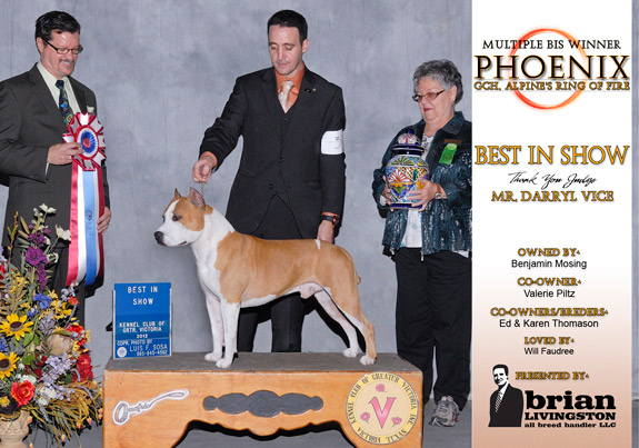 dogad03pix