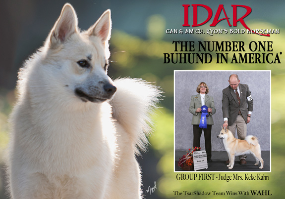 dogad03pix