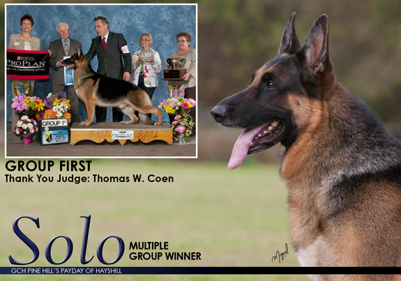 dogad04pix