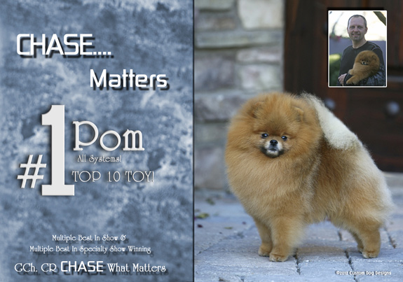 dogad08pix