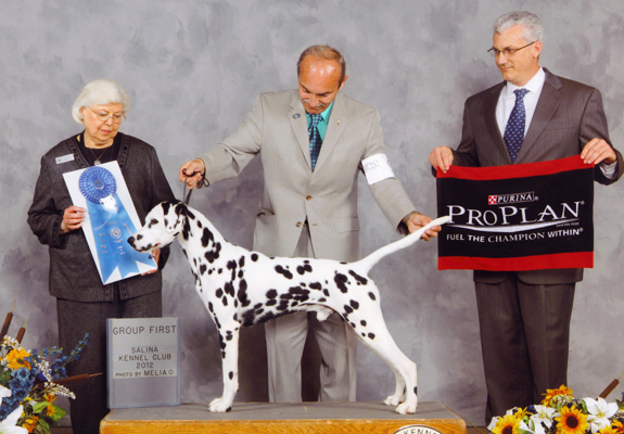 dogad15pix