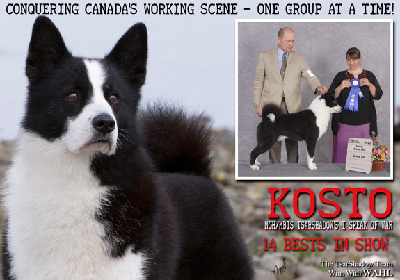 dogad03pix