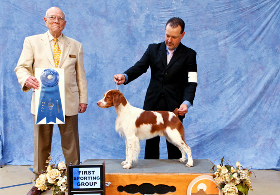 dogad08pix