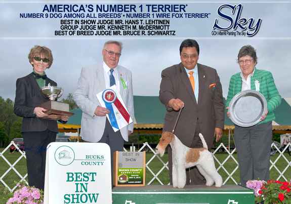 Scott County Kennel Club Akc Dog Show Scott County Kennel Club Akc Dog Show