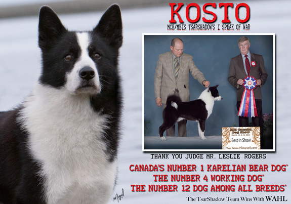 dogad05pix