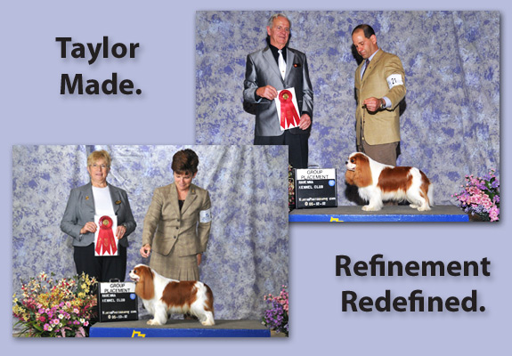 dogad15pix