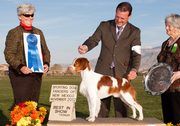 dogad08pix