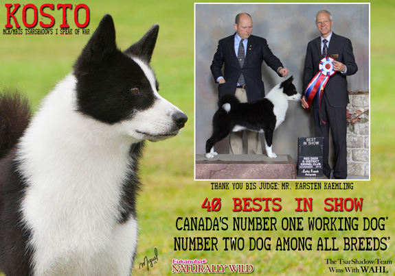 dogad04pix