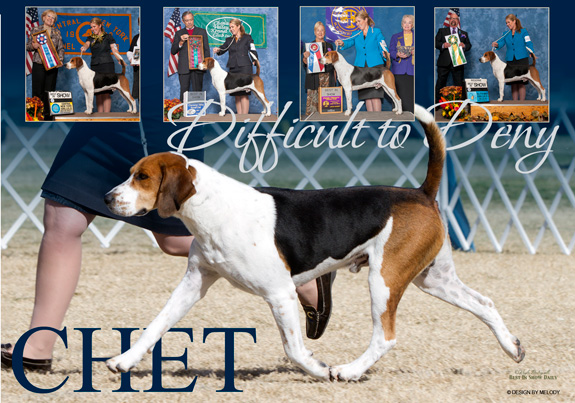 dogad06pix