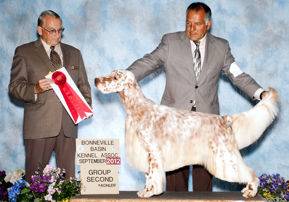 dogad09pix