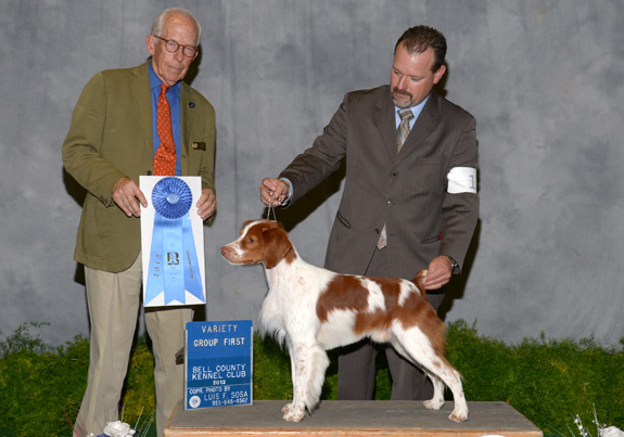 dogad09pix