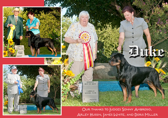 dogad05pix