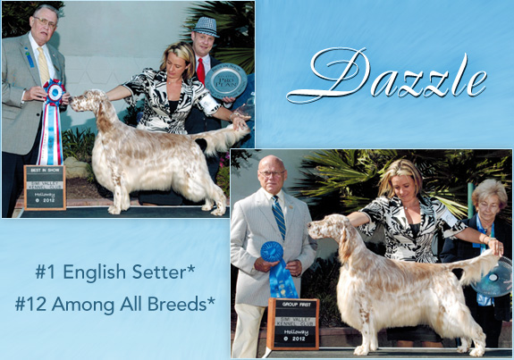 dogad09pix
