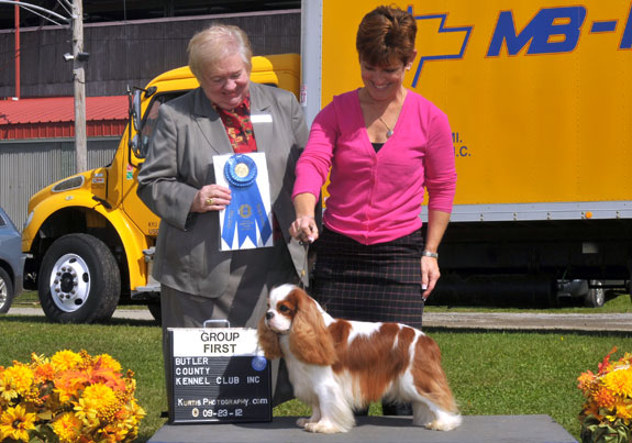 dogad08pix