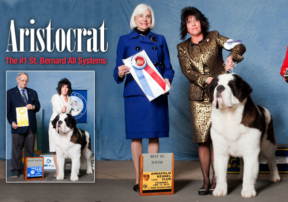 dogad09pix